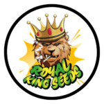 RoyalKingSeeds_Linktree_Thumbnail